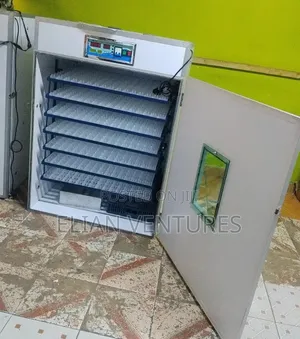 Kituama Mayai 1056 Kipya Kabisa
