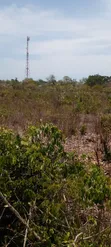 Kitalu cha Galu Beach Cha Eka 1 - Safu ya Pili, Karibu na Ufukwe - 3