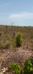 Kitalu cha Galu Beach Cha Eka 1 - Safu ya Pili, Karibu na Ufukwe - 4