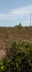 Kitalu cha Galu Beach Cha Eka 1 - Safu ya Pili, Karibu na Ufukwe - 5