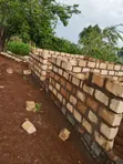 Kitalu Tayari cha Hati 50x100 chenye Vyumba 3 vya Kukodisha - 2