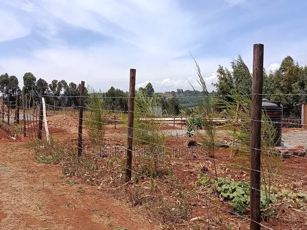 Vitimbi Bora Thigio Kikuyu - 1