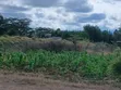 Plots for Sale in Nanyuki - 1/8 Acre - 3
