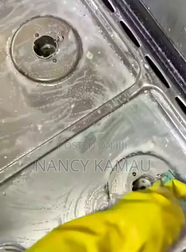 Kitchen Appliances Cleaning Service - 1
