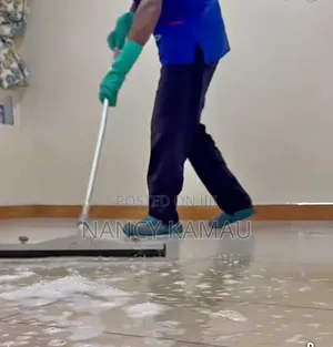 Miserac Cleaning Company: Routine Home Scrubbing