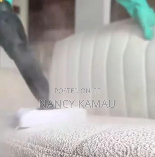 Sofa Steam Cleaning Service - 1