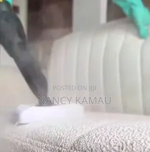 Sofa Steam Cleaning Service
