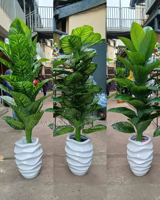 Mimea Bandia Iliyopandwa na Sufuria - 1