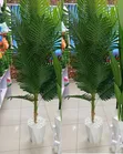 Mti Bandia wa Palam na Vase na Mawe (1.8m) - 1
