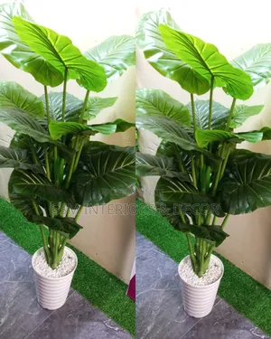 Mimea Bandia Mirefu - Money Plant & Zebra Designs (1.7m)
