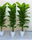 Artificial Plants for Hotels & Offices - 1