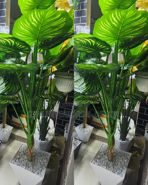 Artificial Plants for Hotels & Offices