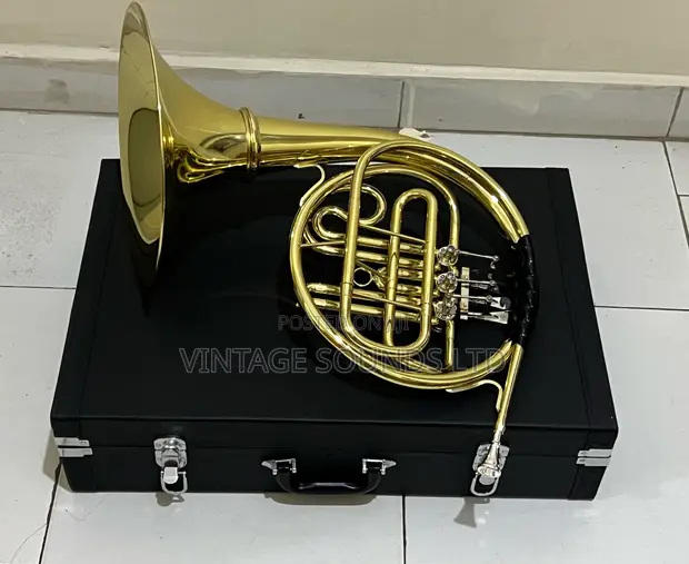 Professional Gold-Toned Bb Student French Horn with Case - 1