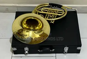 Professional Bb French Horn - Gold Lacquer