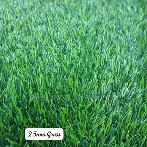 Artificial Grass ya Lawn, Garden na Patio Decor 25MM