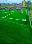 Artificial Turf Daraja la Uwanja - 50mm kwa Viwanja Vidogo - 2