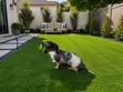 Artificial Turf Grass 20mm Rafiki kwa Wanyama - 1