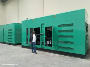 Cummins 1000 Kva Dizeli Jenereta - Mpya Kabisa