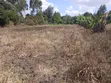 Kitalu Bora cha Robo Eka huko Olkeri, Ngong - 1