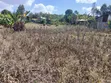 Kitalu Bora cha Robo Eka huko Olkeri, Ngong - 2