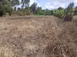 Kitalu Bora cha Robo Eka huko Olkeri, Ngong - 3