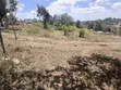 Uuzaji wa Haraka: Plot ya 100x100 huko Olkeri, Ngong - Karibu na Tarmac - 1
