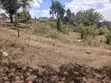 Uuzaji wa Haraka: Plot ya 100x100 huko Olkeri, Ngong - Karibu na Tarmac - 3