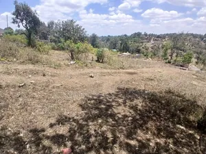 Distress Sale: 100x100 Plot in Olkeri, Ngong - Near Tarmac
