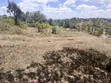 Uuzaji wa Haraka: Plot ya 100x100 huko Olkeri, Ngong - Karibu na Tarmac - 4