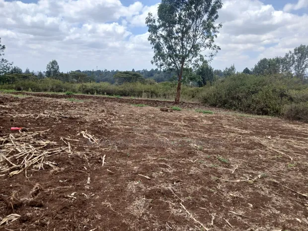 Prime 100x100 Redsoil Plot in Olkeri with Ngong Hills View - 1