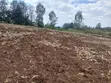 Kitalu Bora cha Redsoil 100x100 Olkeri chenye Mwonekano wa Milima ya Ngong - 2