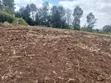 Kitalu Bora cha Redsoil 100x100 Olkeri chenye Mwonekano wa Milima ya Ngong - 3