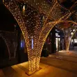 50M Outdoor Commercial LED String Lights - 3