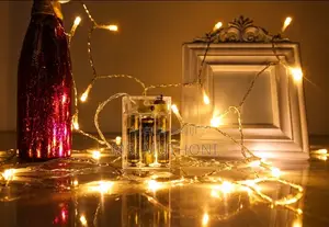 20 Metre Battery Operated Christmas LED Lights - Warm White