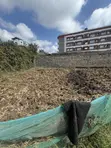 Commercial Quarter Acre Plot on Tarmac, Ole Polos - 2
