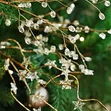 Christmas Decorations Crystal Bud Branches for DIY Crystal Flower - 4
