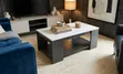 Julz Modern Design Coffee Table - 2