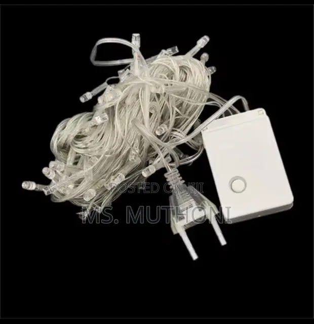 10 Meter 100 LED Christmas Lights - 1