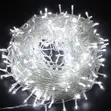 10 Meter 100 LED Christmas Lights - 2