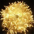 10 Meter 100 LED Christmas Lights - 4
