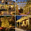 10 Meter 100 LED Christmas Lights - 5