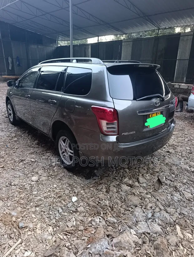Toyota Corolla Fielder 2009 Gray - 1