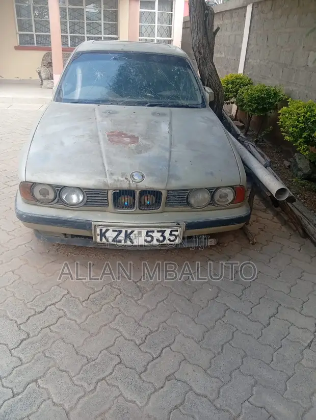 BMW 524d 1981 Brown - 1