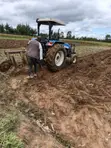 New Holland TT75 Farm Tractor - 2
