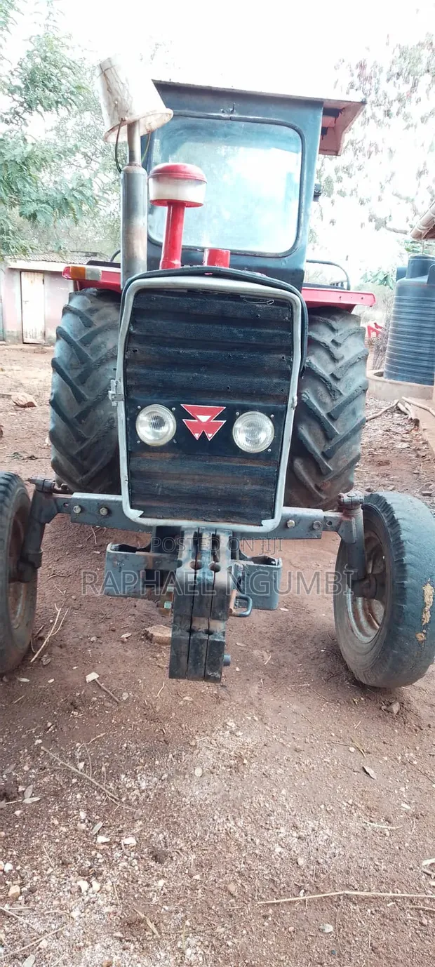 Tractor Massey Ferguson 261 na Trela - 1
