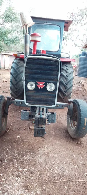 Tractor Massey Ferguson 261 na Trela