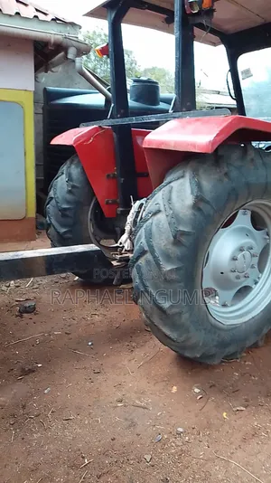 Tractor Massey Ferguson 261 na Trela