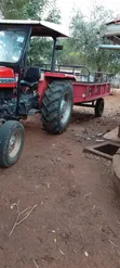 Tractor Massey Ferguson 261 na Trela - 4