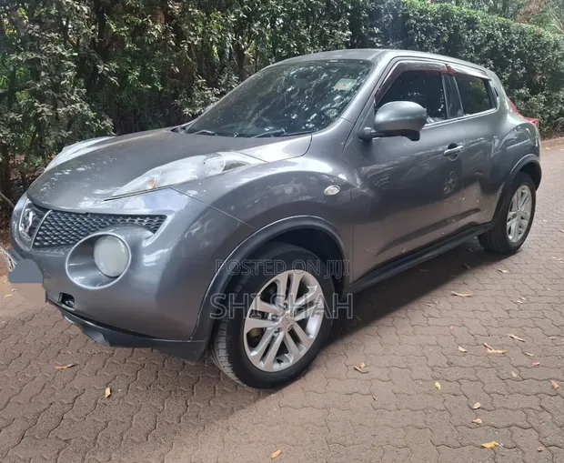 Nissan Juke 2012 Silver - 1