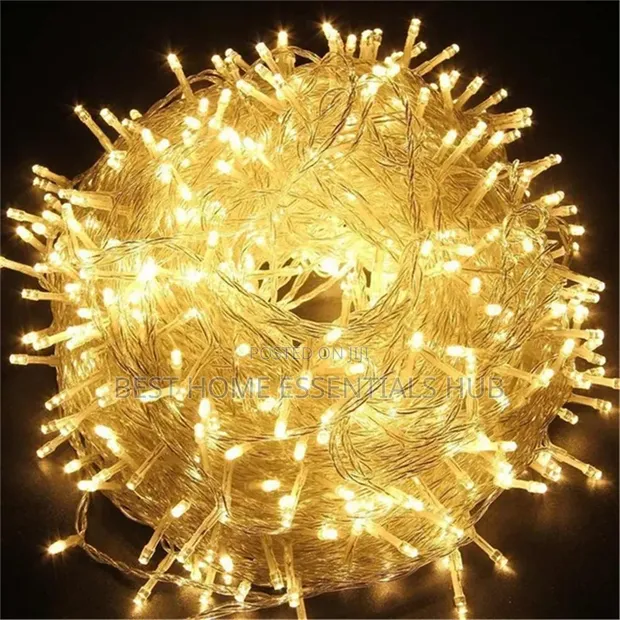 10 Meter Christmas LED Lights (100 Bulbs) - 1
